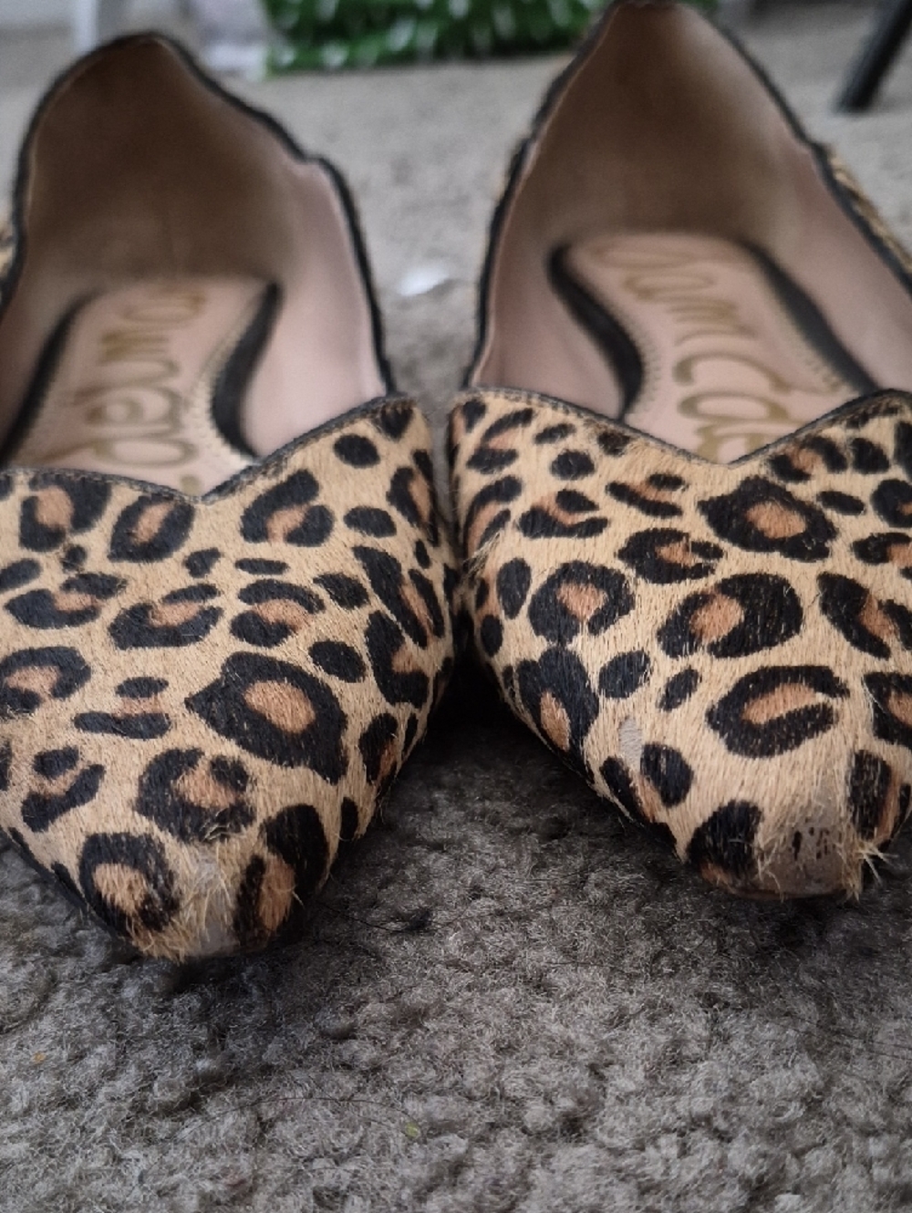 Sam Edelman Leopard-Print Pointed Toe Flats - Tan & Black Size 9.5 - Picture 12 of 12